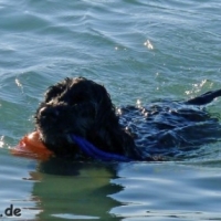 frankreich_2012_0670_0