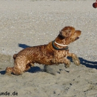 frankreich_2012_0703