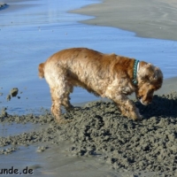 frankreich_2012_0414