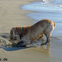 frankreich_2012_0430