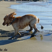 frankreich_2012_0435