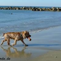 frankreich_2012_0447
