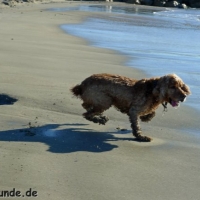 frankreich_2012_0461