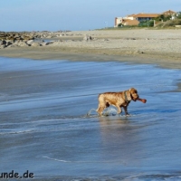 frankreich_2012_0499