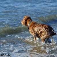 frankreich_2012_0500