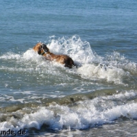 frankreich_2012_0502