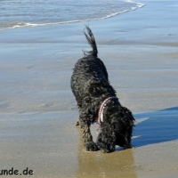 frankreich_2012_0503