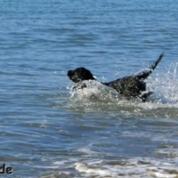 frankreich_2012_0509