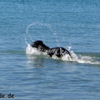 frankreich_2012_0511