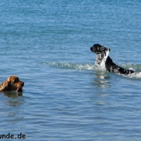 frankreich_2012_0512