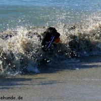 frankreich_2012_0518