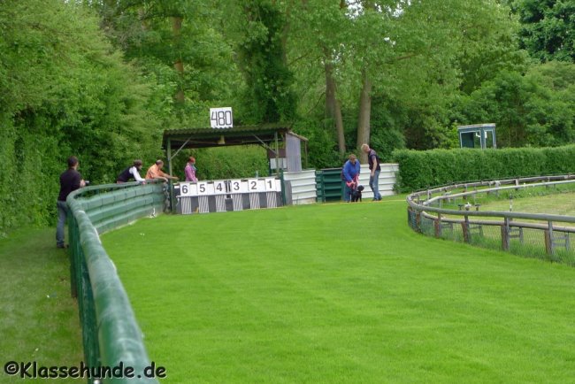 Jederhundrennen_029_090513