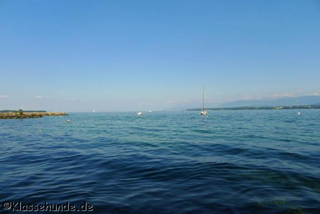 Frankreich_032_2013