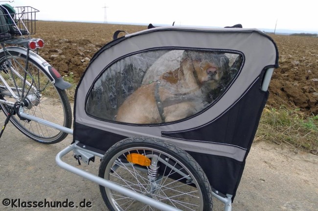 ebike_0001_080214