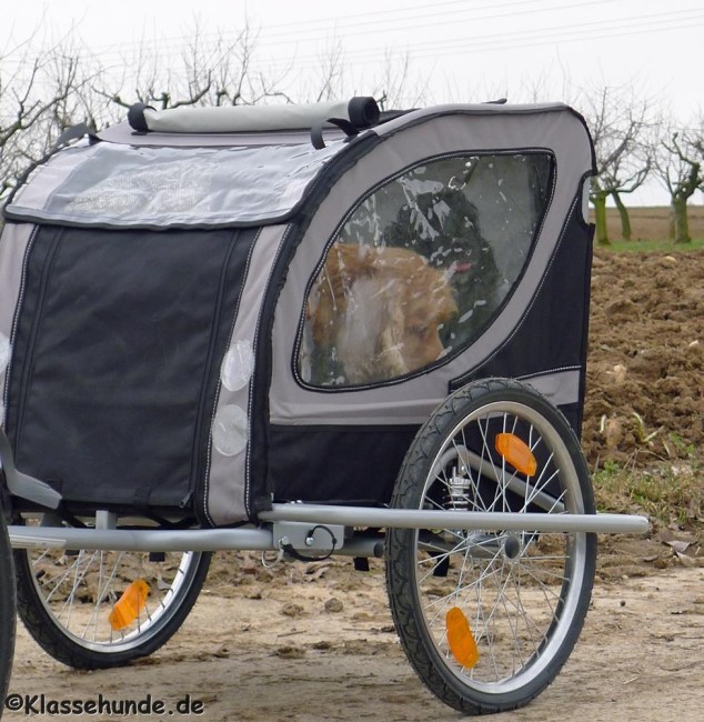 ebike_0016_080214