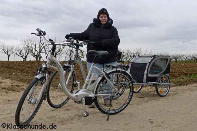 ebike_0018_080214