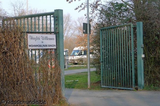 Bingen_073_08.-09.03.14