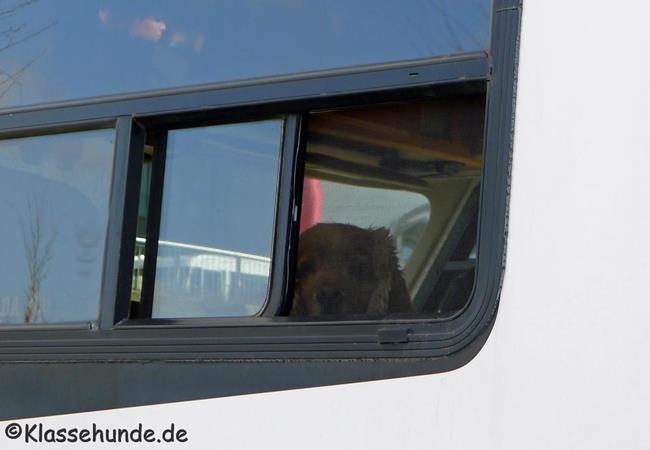 Wertheim_018_01.-03.03.14