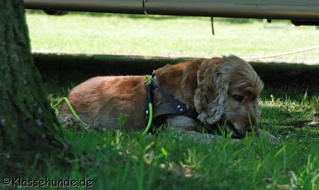 Gladbeck_0005
