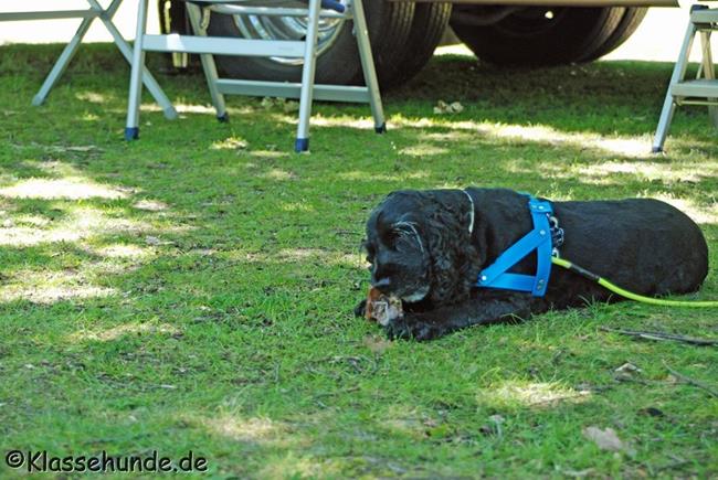 Gladbeck_0016