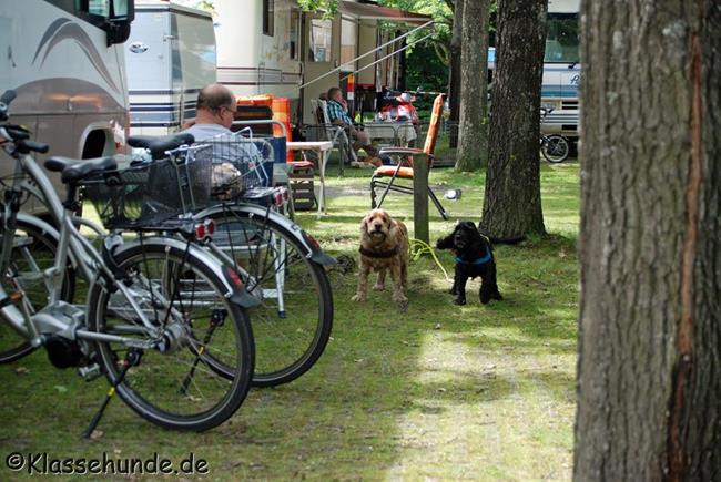 Gladbeck_0097