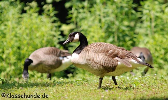 Gladbeck_0120