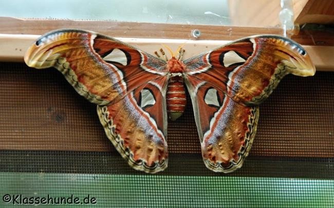 Biosphaere_0255