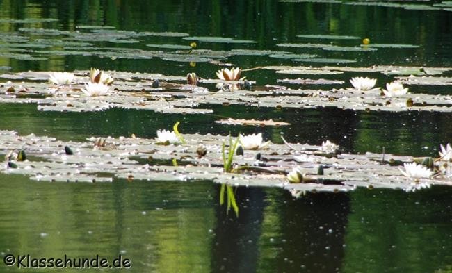 Hannover_0022