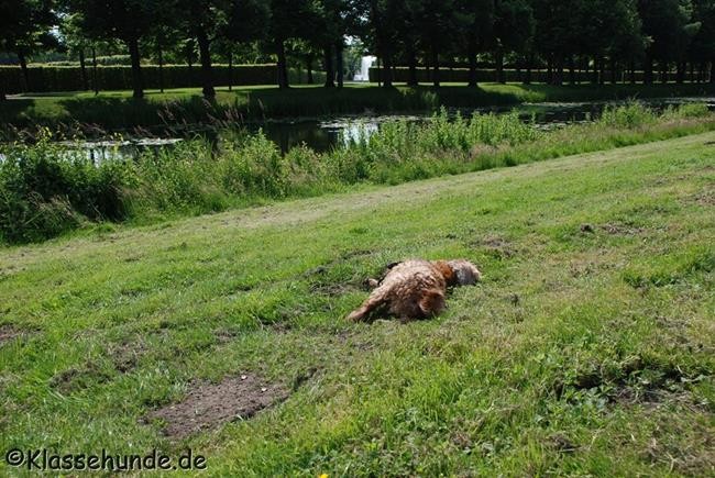 Hannover_0035