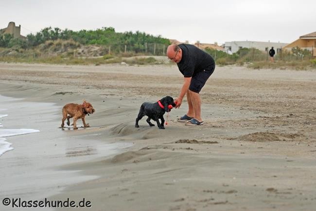 Frankreich_2014_1027