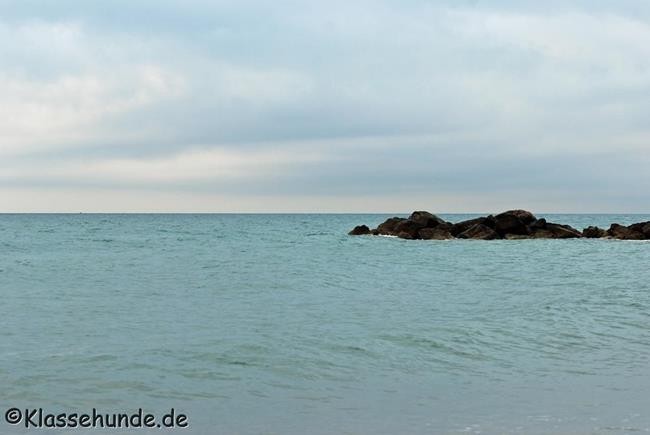 Frankreich_2014_1389