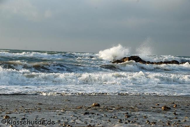 Frankreich_2014_1438