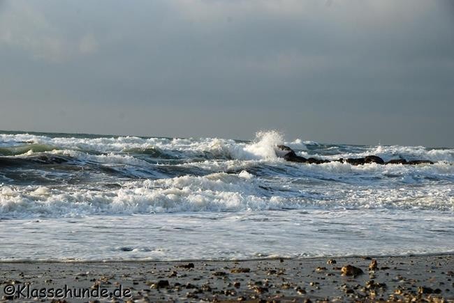Frankreich_2014_1446
