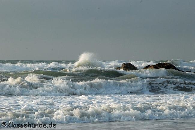 Frankreich_2014_1489