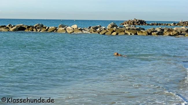 Frankreich_2014_214