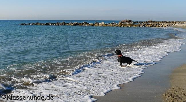Frankreich_2014_252