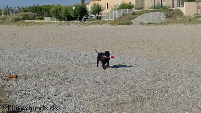Frankreich_2014_313