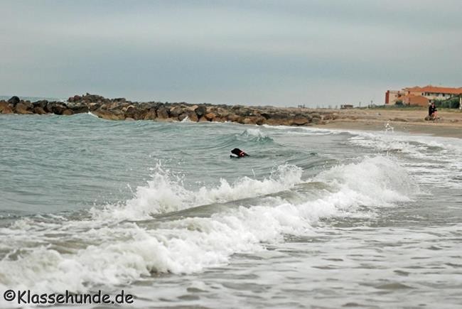 Frankreich_2014_683
