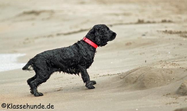 Frankreich_2014_723