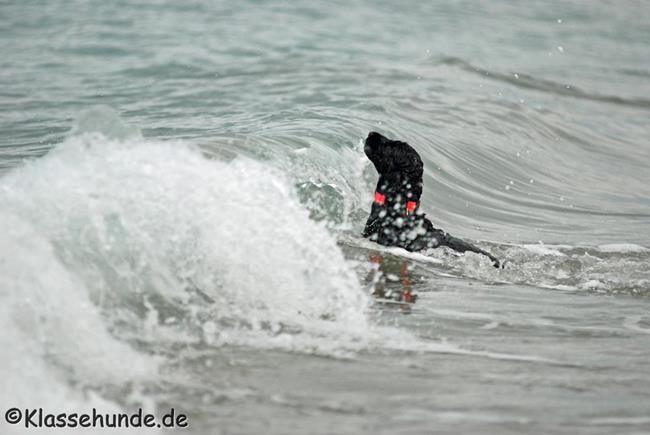 Frankreich_2014_731