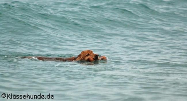 Frankreich_2014_772