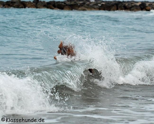 Frankreich_2014_916 - Kopie