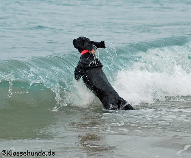 Frankreich_2014_938