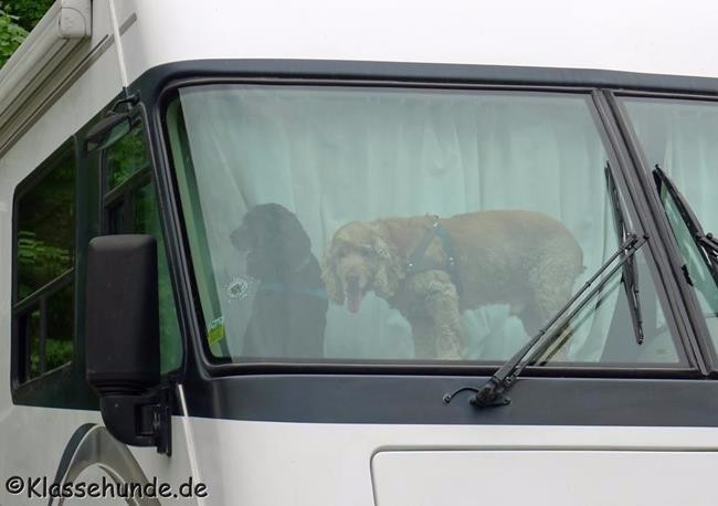 Weilburg 2015_0076
