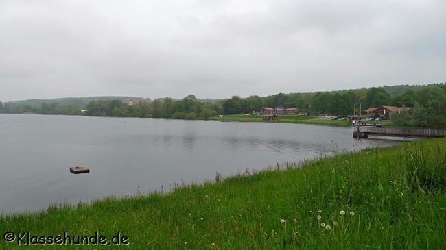 Wiesensee_2015_0008